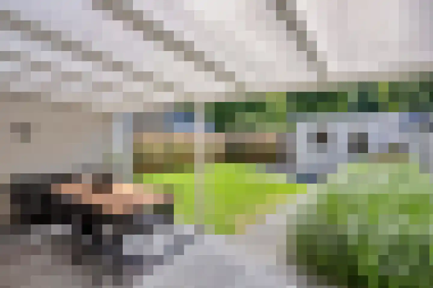 Knippenbergstraat 9 Deurne thumbnail 30
