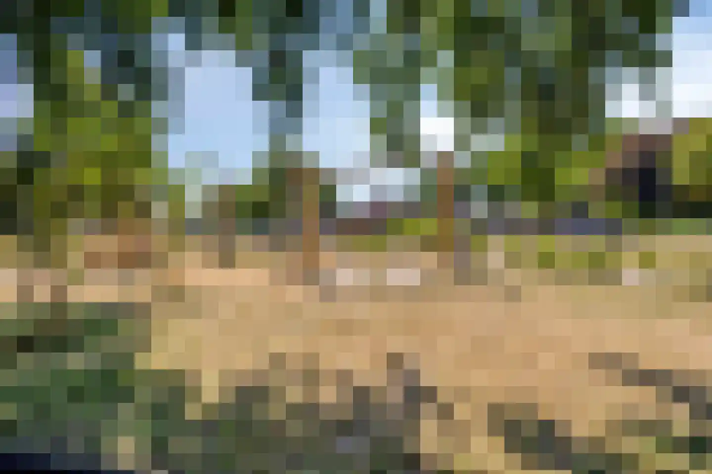Knippenbergstraat 9 Deurne thumbnail 38