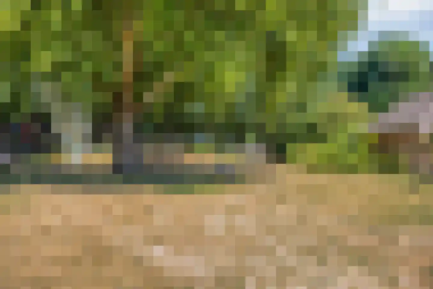 Knippenbergstraat 9 Deurne thumbnail 39