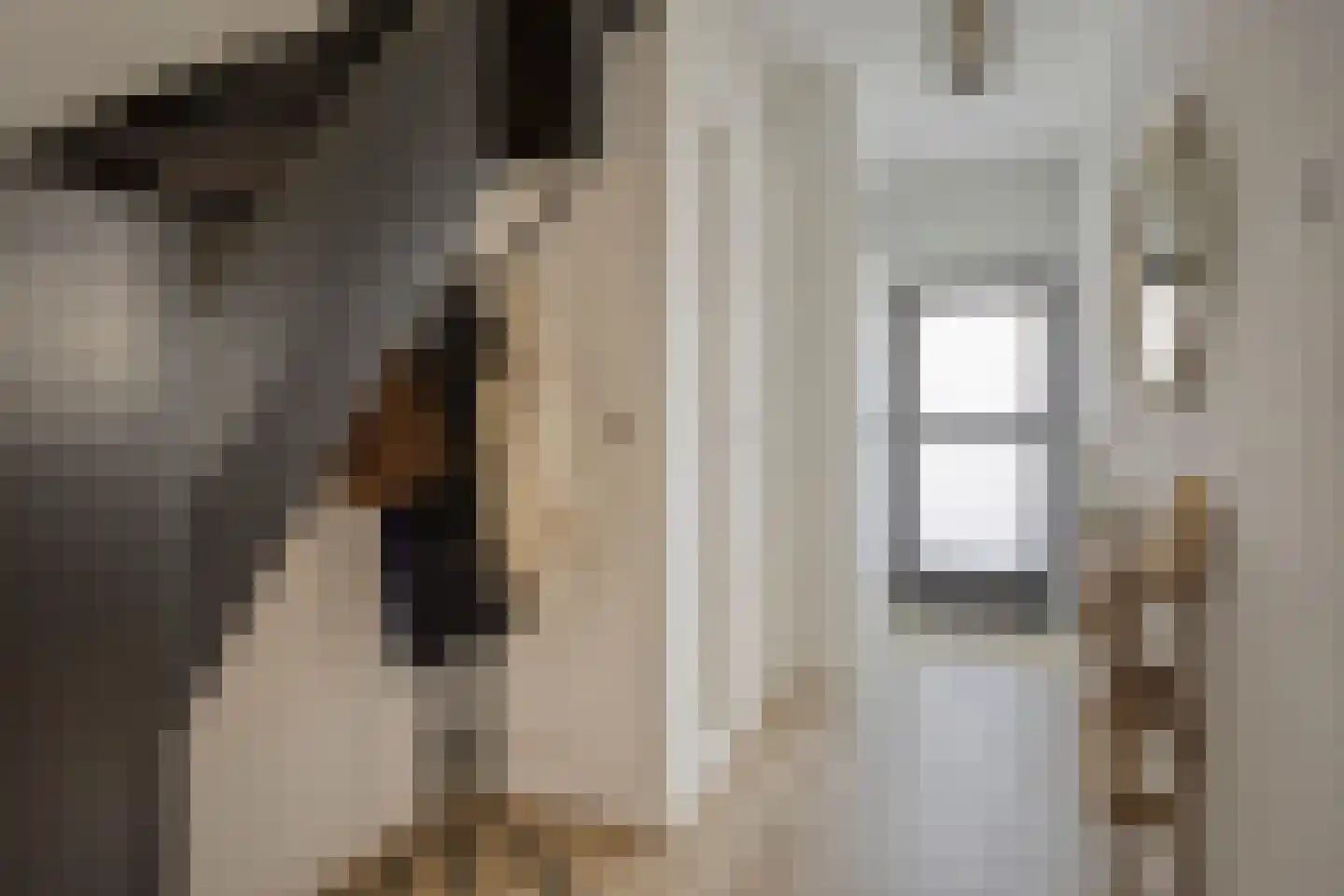 Knippenbergstraat 9 Deurne thumbnail 5
