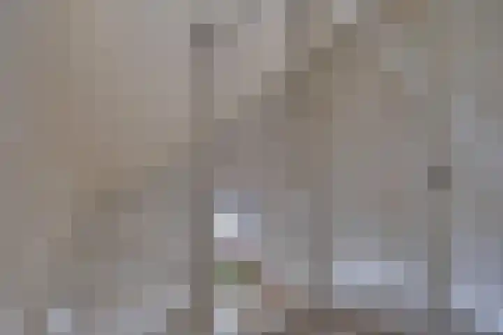 Knippenmorgenstraat 15 Zevenaar thumbnail 22