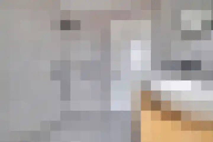 Knippenmorgenstraat 15 Zevenaar thumbnail 30