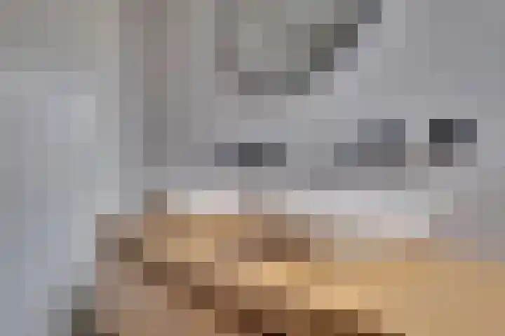 Knippenmorgenstraat 15 Zevenaar thumbnail 32
