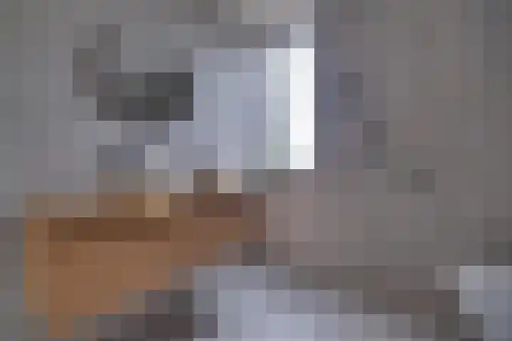 Knippenmorgenstraat 15 Zevenaar thumbnail 4
