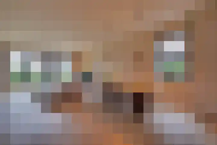 Knippenmorgenstraat 15 Zevenaar thumbnail 8