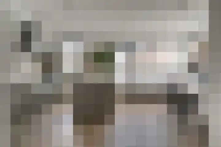 Knippenmorgenstraat 17 Zevenaar thumbnail 13
