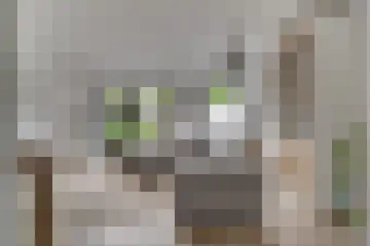 Knippenmorgenstraat 17 Zevenaar thumbnail 21