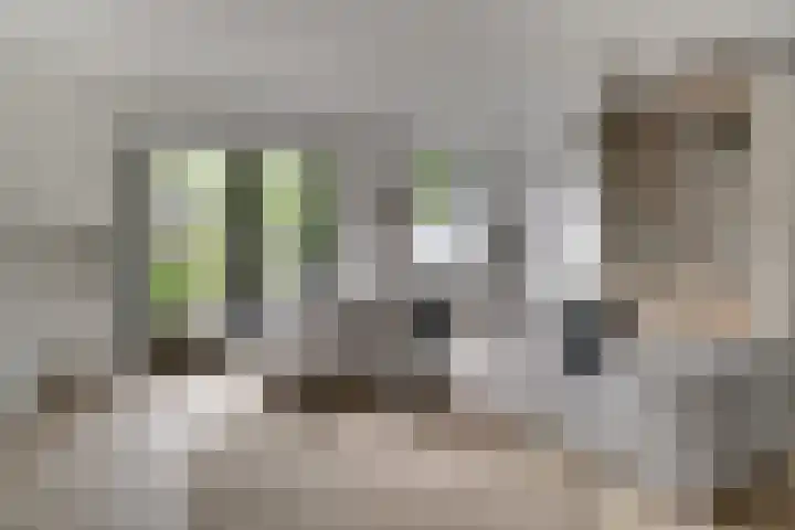 Knippenmorgenstraat 17 Zevenaar thumbnail 24
