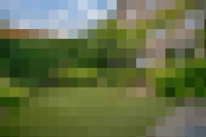 Knippenmorgenstraat 17 Zevenaar thumbnail 26