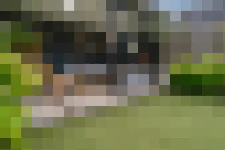 Knippenmorgenstraat 17 Zevenaar thumbnail 27