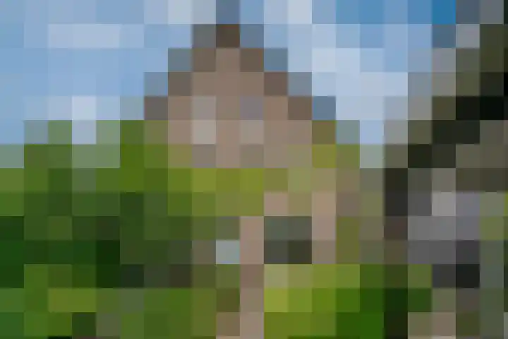 Knippenmorgenstraat 17 Zevenaar thumbnail 31