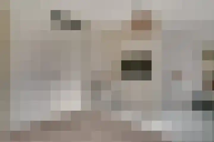Knippenmorgenstraat 17 Zevenaar thumbnail 33