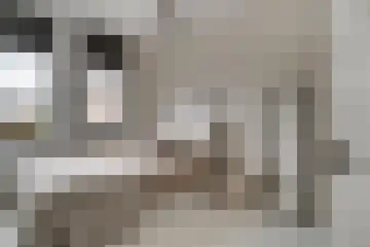 Knippenmorgenstraat 17 Zevenaar thumbnail 39