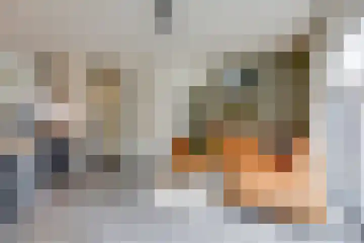 Knippenmorgenstraat 3 Zevenaar thumbnail 14