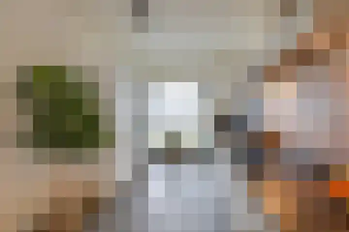 Knippenmorgenstraat 3 Zevenaar thumbnail 20