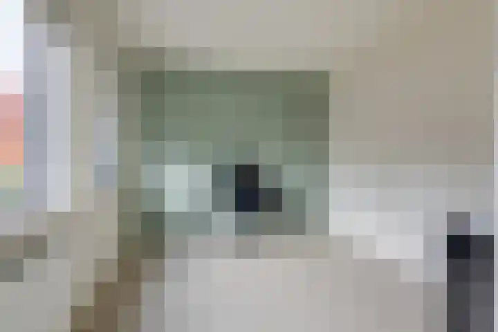 Knippenmorgenstraat 3 Zevenaar thumbnail 31