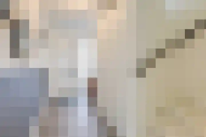 Knippenmorgenstraat 3 Zevenaar thumbnail 9