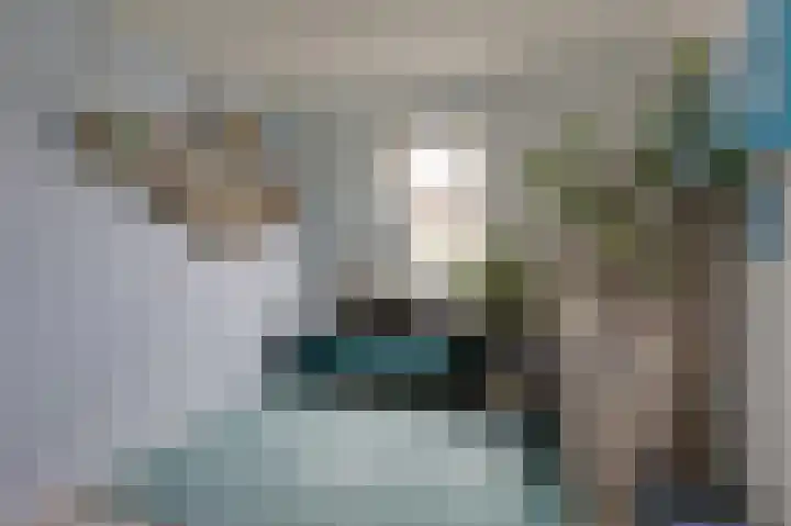Knippenmorgenstraat 5 Zevenaar thumbnail 37