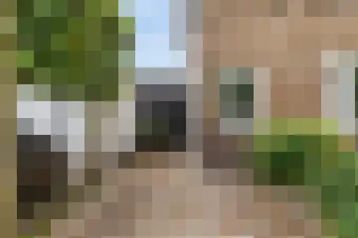 Knipplein 1 Roosendaal thumbnail 32