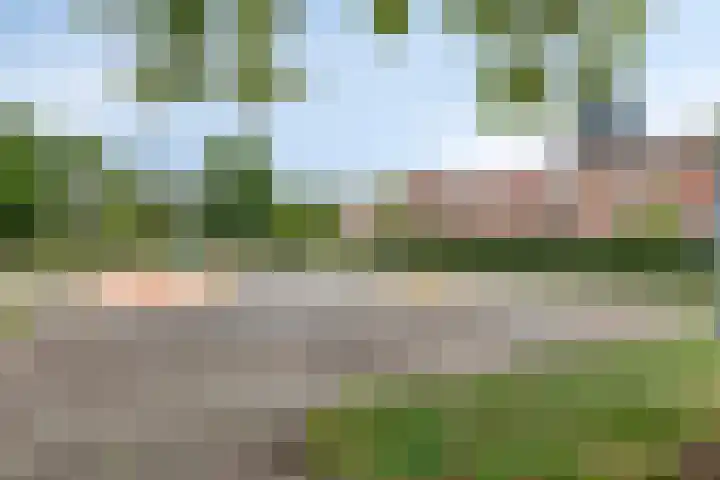 Knipplein 1 Roosendaal thumbnail 35