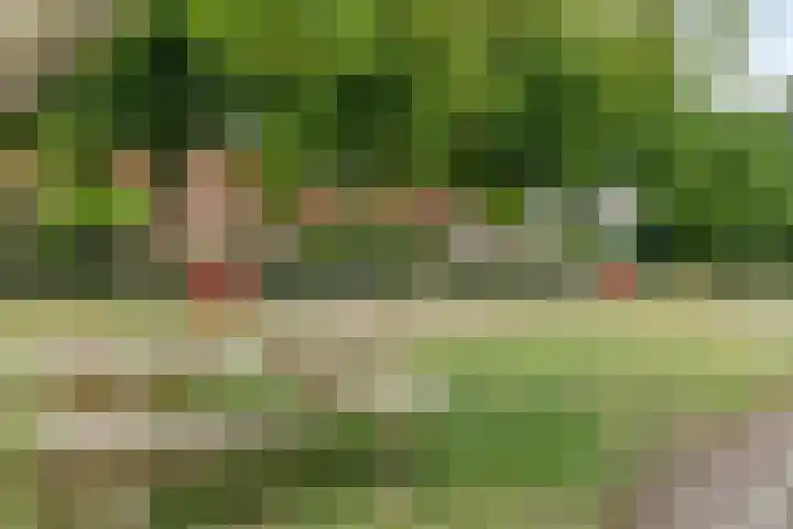 Knipplein 1 Roosendaal thumbnail 36