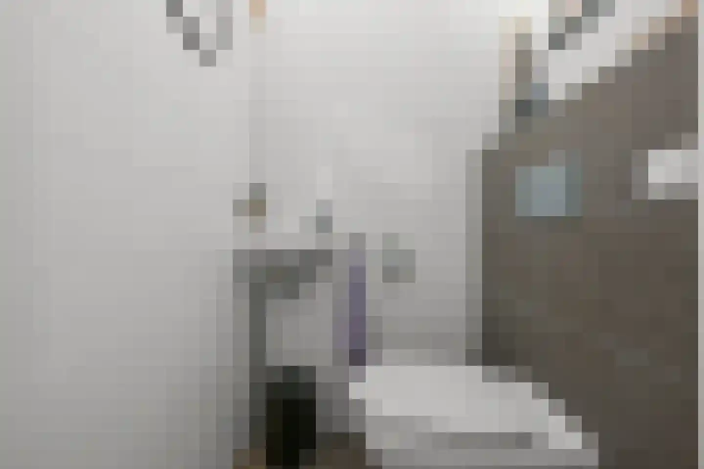 Knobbelzwaan 102 Uithoorn thumbnail 13