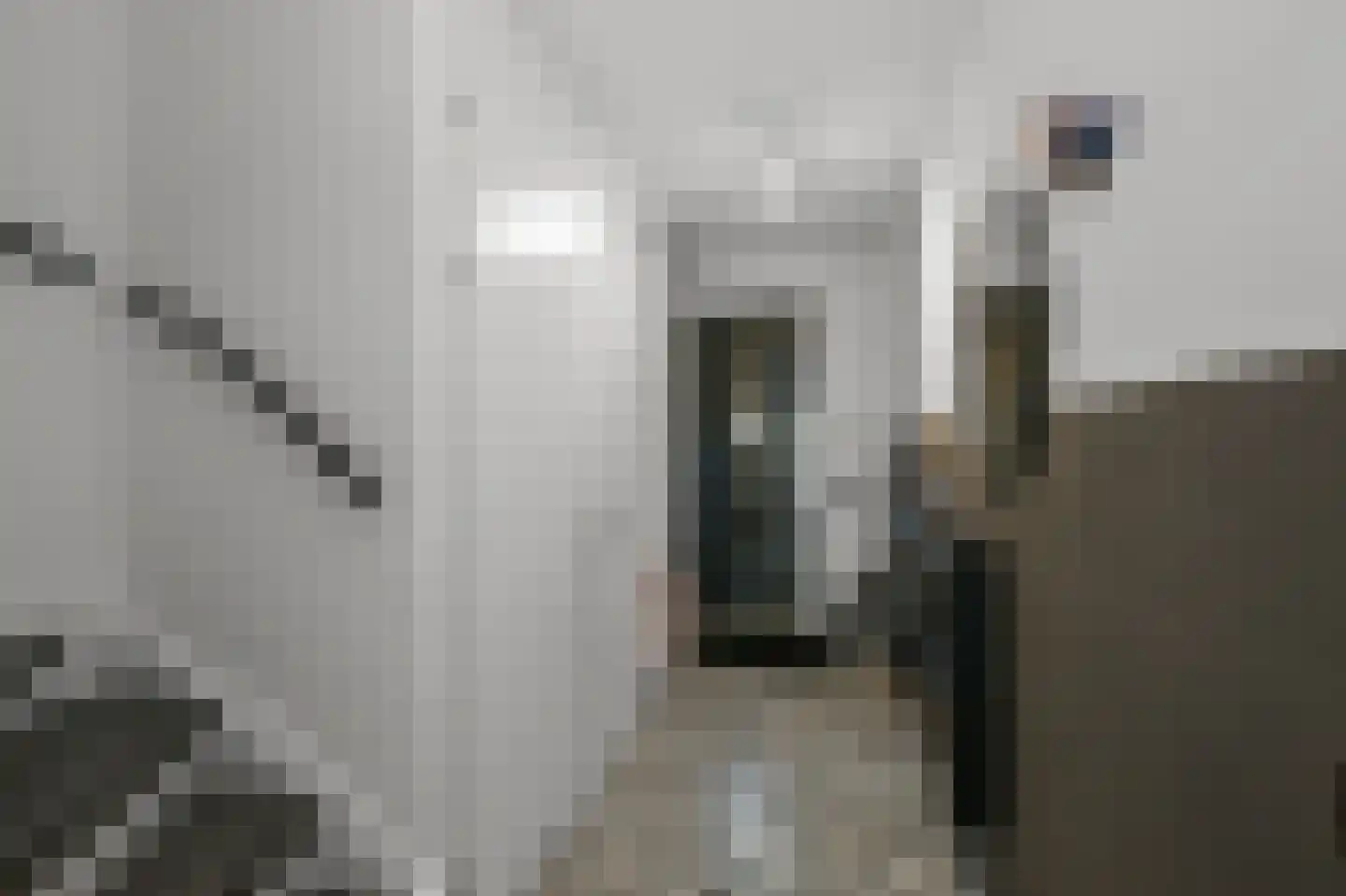 Knobbelzwaan 102 Uithoorn thumbnail 14