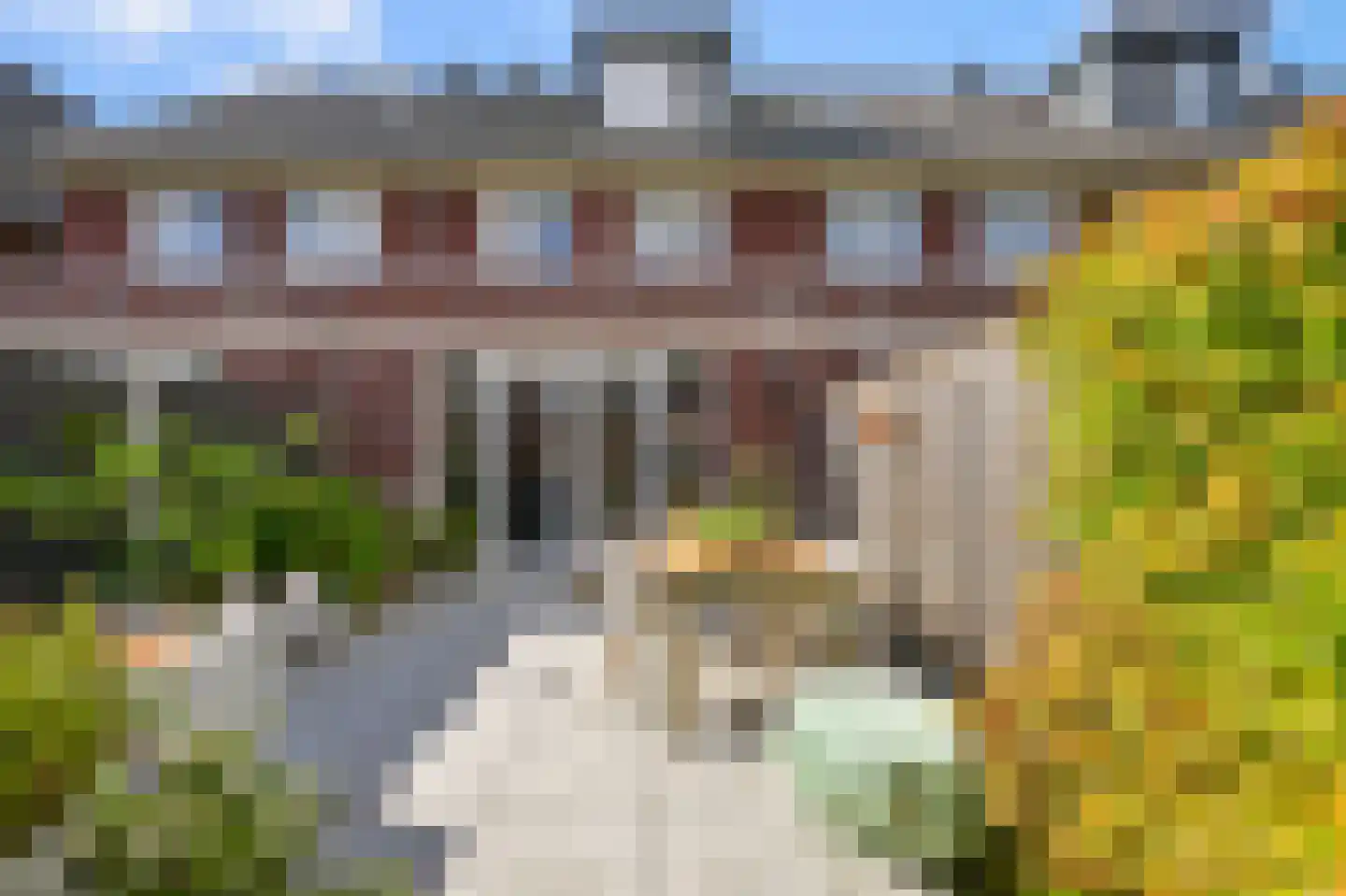 Knobbelzwaan 102 Uithoorn foto 3