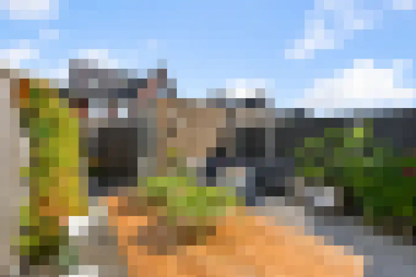 Knobbelzwaan 102 Uithoorn thumbnail 35