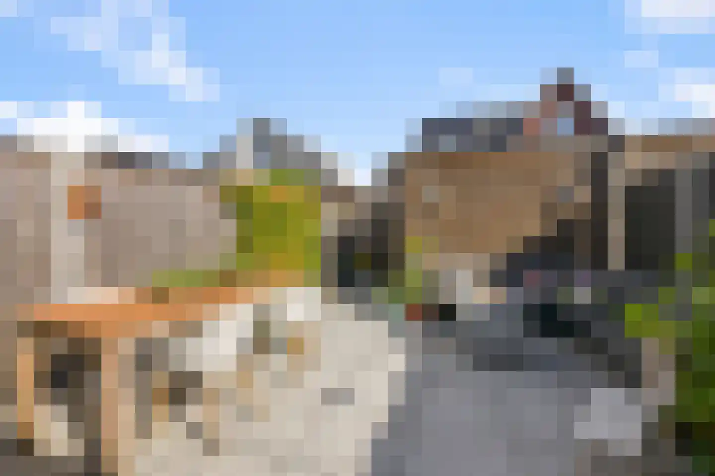 Knobbelzwaan 102 Uithoorn thumbnail 36