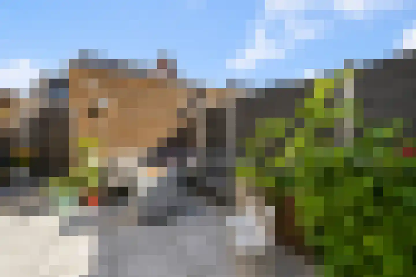 Knobbelzwaan 102 Uithoorn thumbnail 37