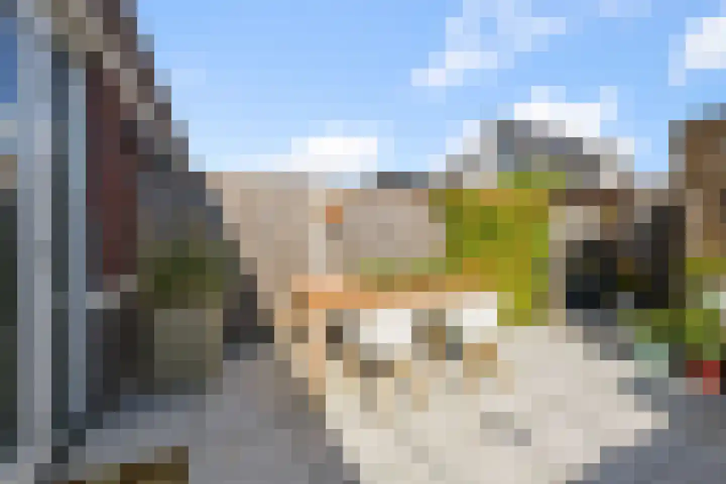 Knobbelzwaan 102 Uithoorn thumbnail 38