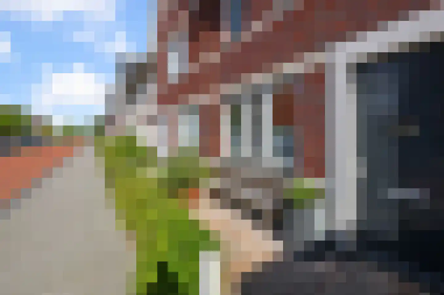 Knobbelzwaan 102 Uithoorn thumbnail 40