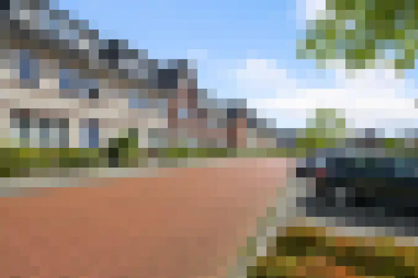 Knobbelzwaan 102 Uithoorn thumbnail 41