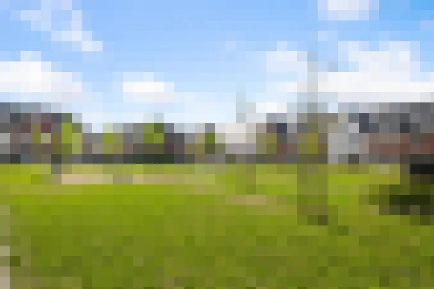 Knobbelzwaan 102 Uithoorn thumbnail 43