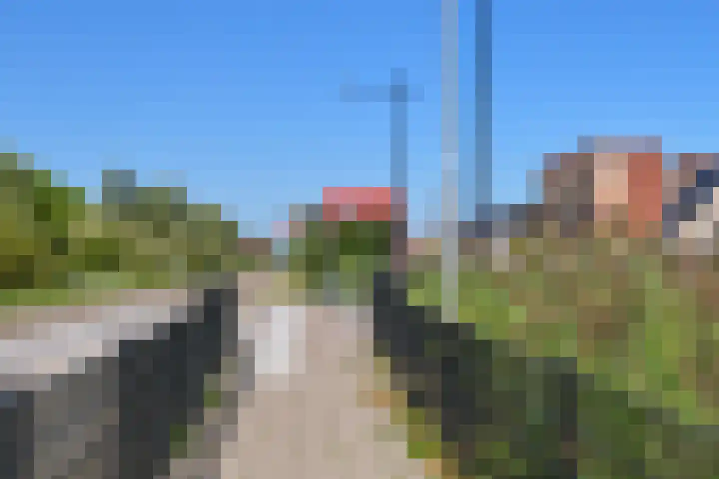 Knobbelzwaan 102 Uithoorn thumbnail 44