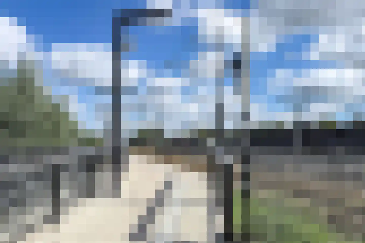 Knobbelzwaan 102 Uithoorn thumbnail 45
