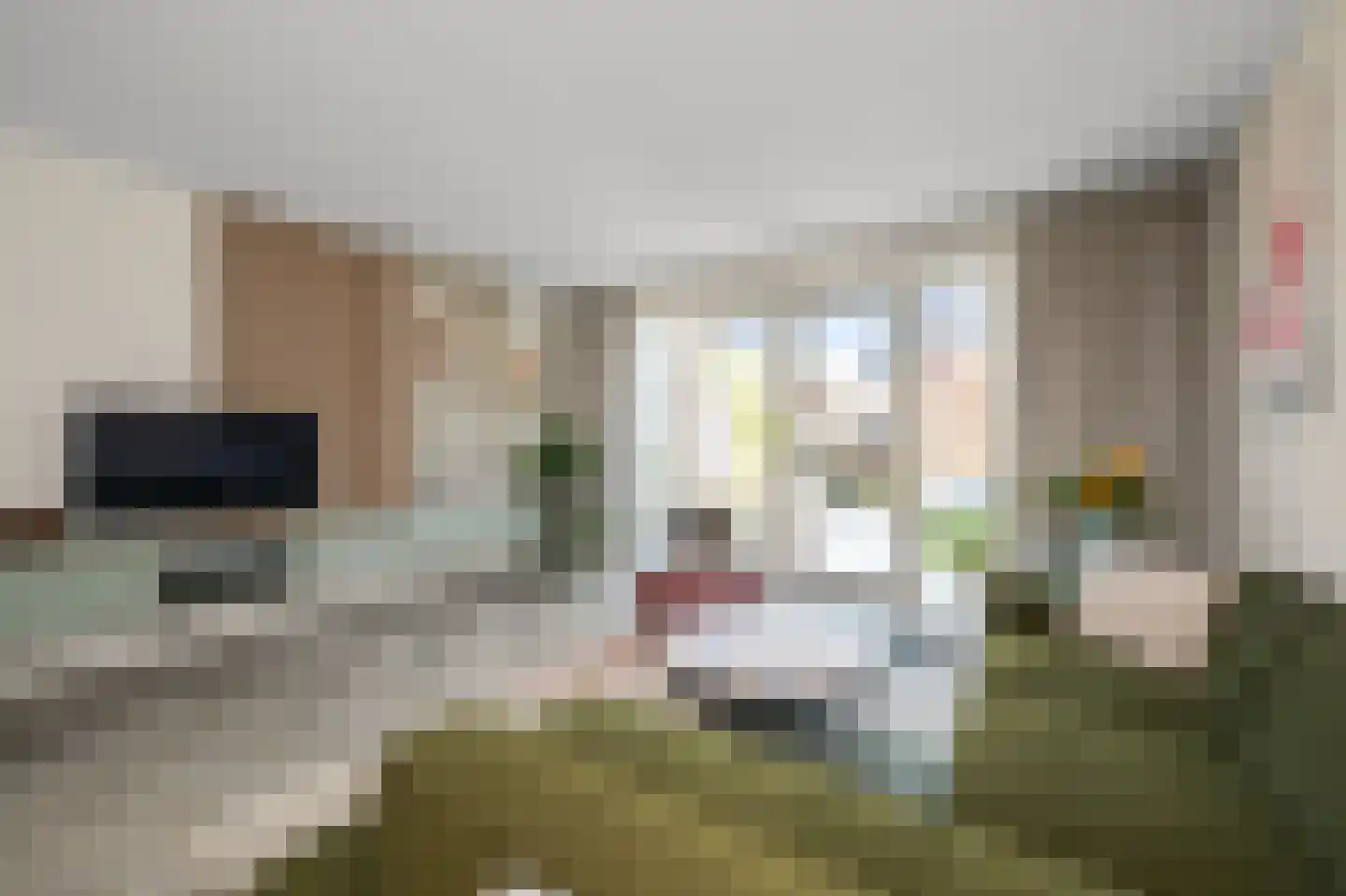 Knobbelzwaan 102 Uithoorn thumbnail 5