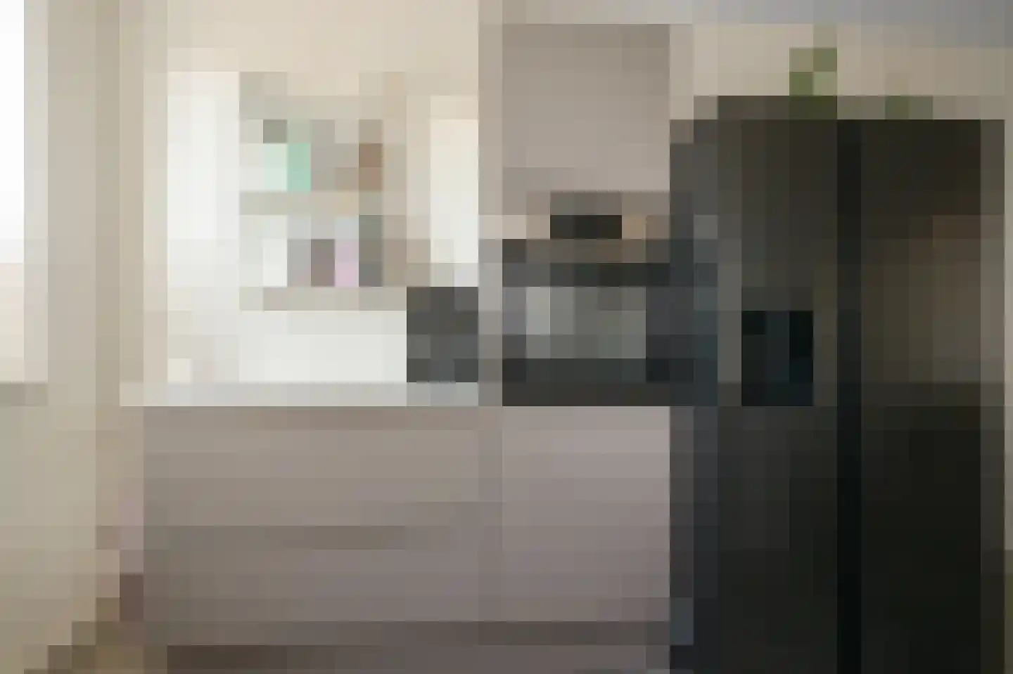 Knobbelzwaan 102 Uithoorn thumbnail 9