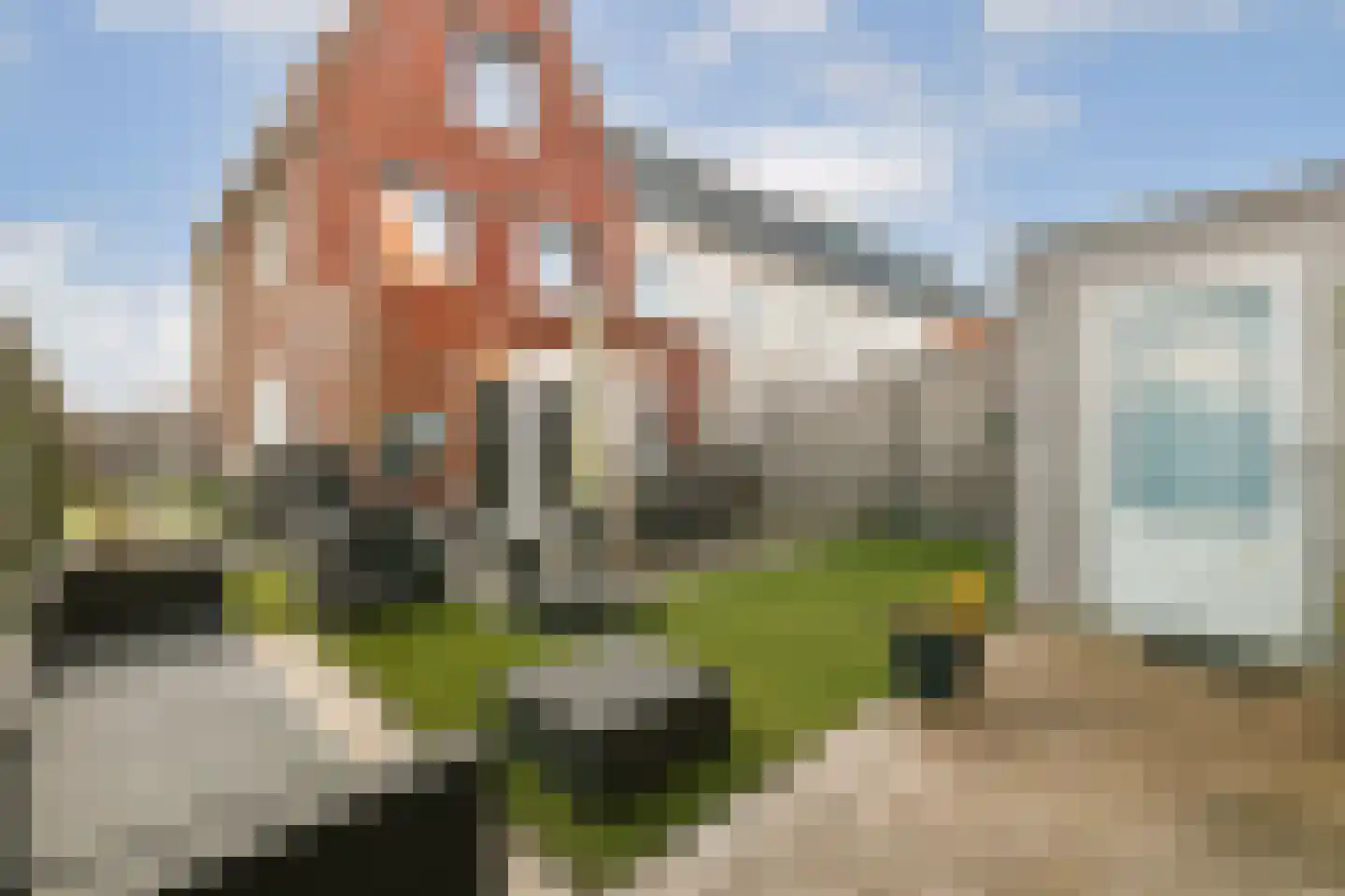 Knobbelzwaan 131 Uithoorn thumbnail 12