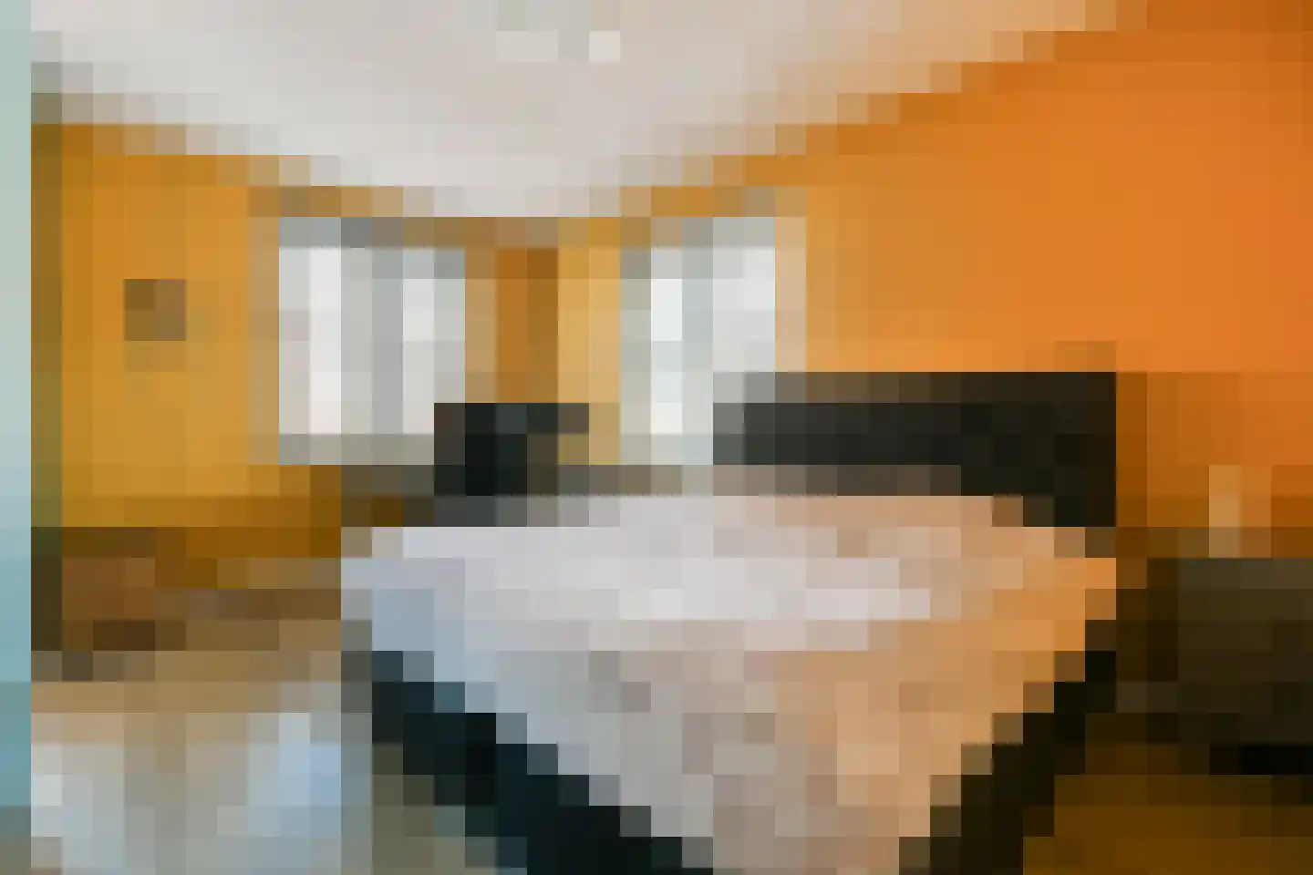 Knobbelzwaan 131 Uithoorn thumbnail 12