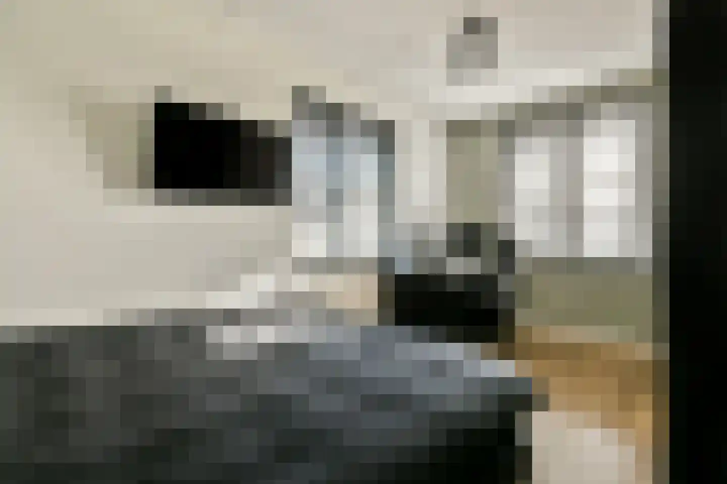 Knobbelzwaan 131 Uithoorn thumbnail 18