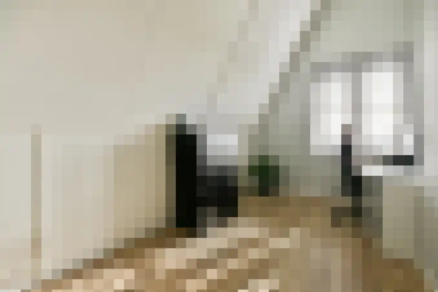 Knobbelzwaan 131 Uithoorn thumbnail 18