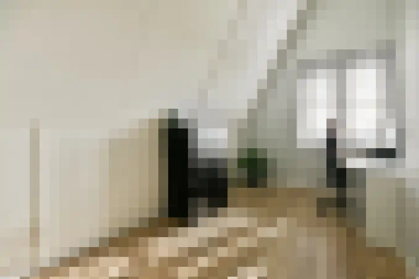 Knobbelzwaan 131 Uithoorn thumbnail 20