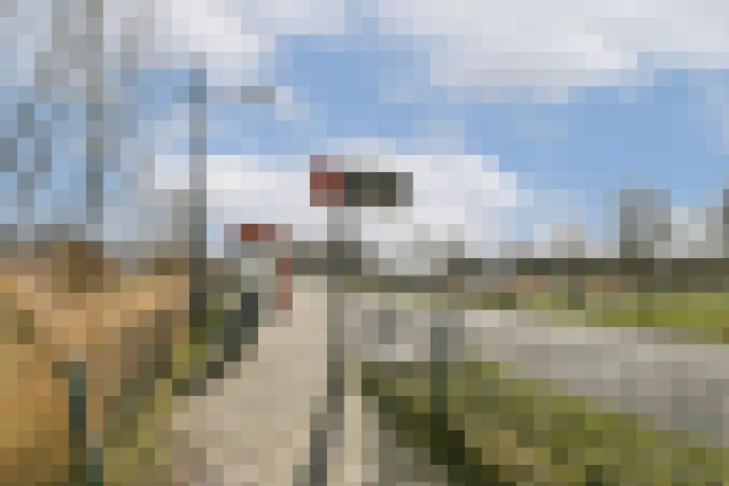 Knobbelzwaan 131 Uithoorn thumbnail 20