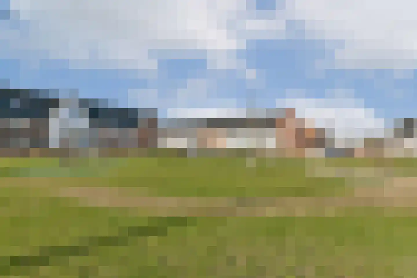 Knobbelzwaan 131 Uithoorn thumbnail 21