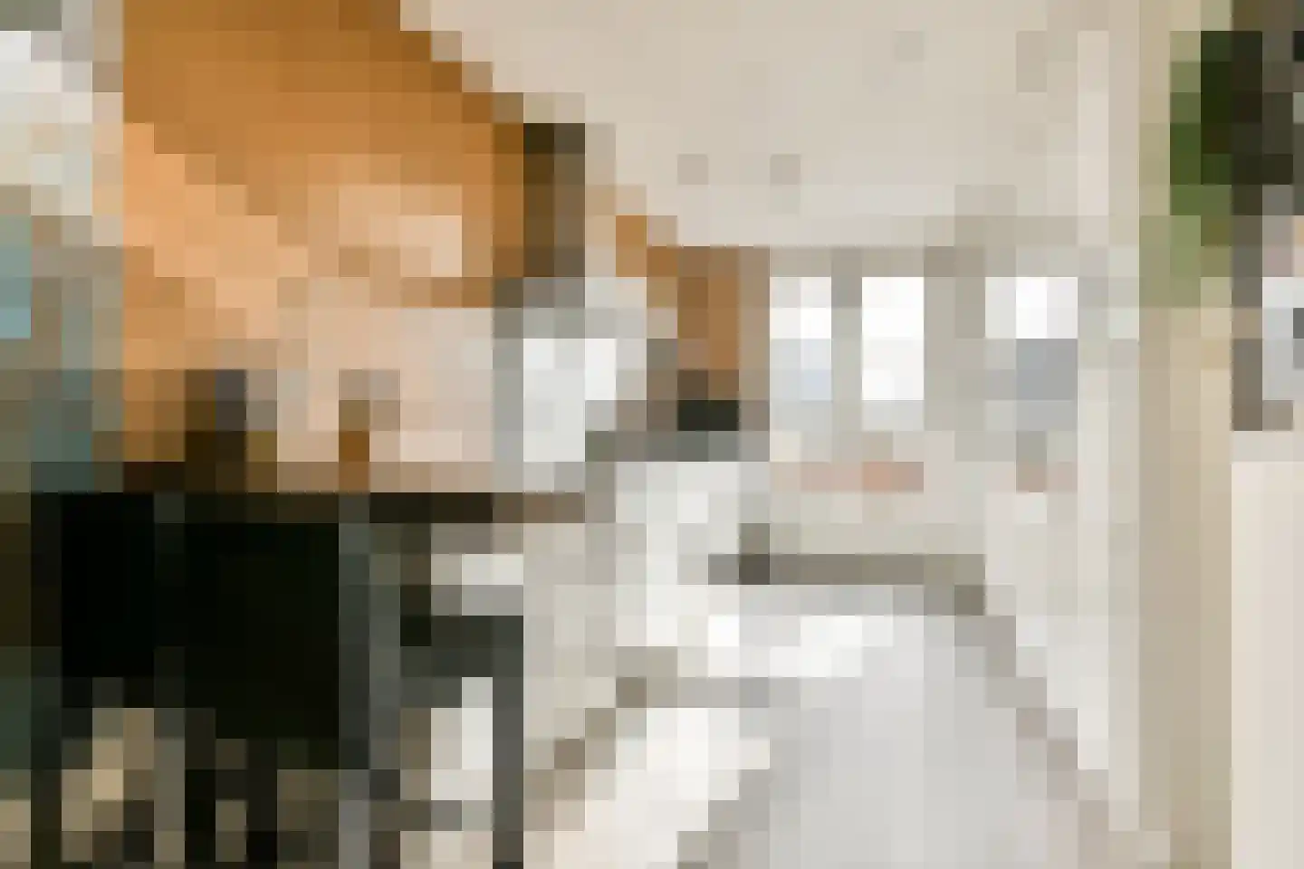 Knobbelzwaan 131 Uithoorn thumbnail 9