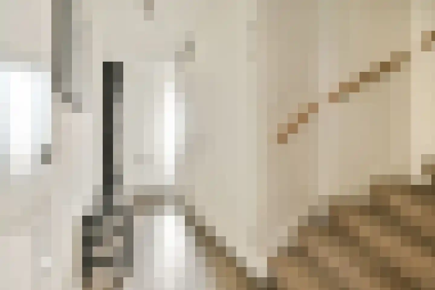 Knobbelzwaan 131 Uithoorn thumbnail 4
