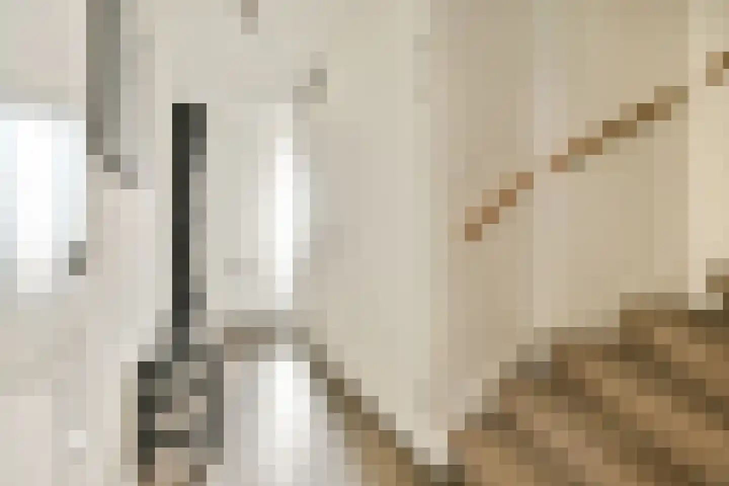 Knobbelzwaan 131 Uithoorn thumbnail 4