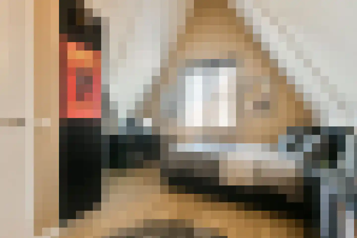 Knobbelzwaan 131 Uithoorn thumbnail 19